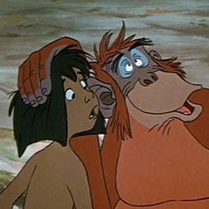 Foto El libro de la selva