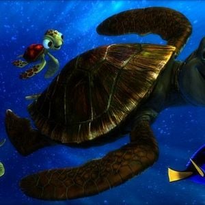 Foto Buscando a Nemo