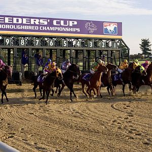 Foto Dreamer: Camino hacia la victoria