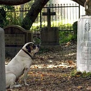 Foto Joel Schumacher