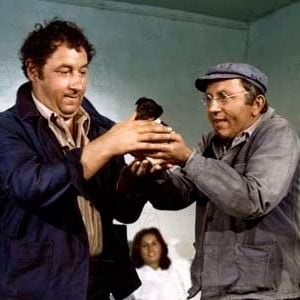 Foto El arte de vivir... pero bien