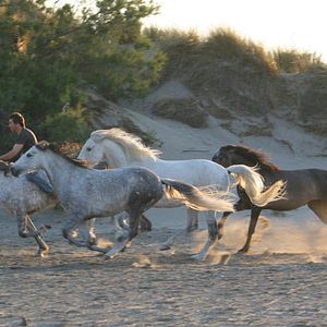 Foto Valérie Guignabodet