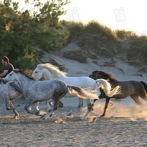 Foto Valérie Guignabodet