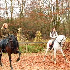 Foto Valérie Guignabodet