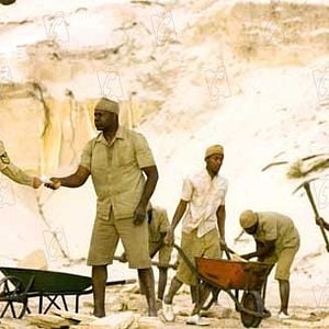 Foto Dennis Haysbert