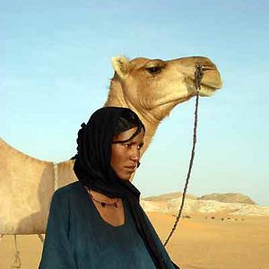 Foto Gilles de Maistre