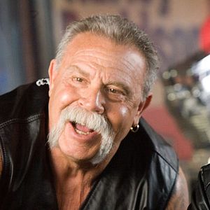 Foto Cerdos salvajes (con un par... de ruedas)