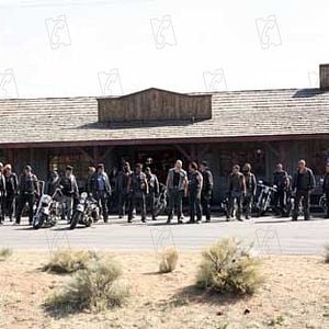 Foto Cerdos salvajes (con un par... de ruedas)