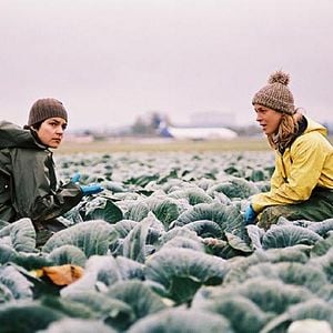 Foto Jasmin Tabatabai