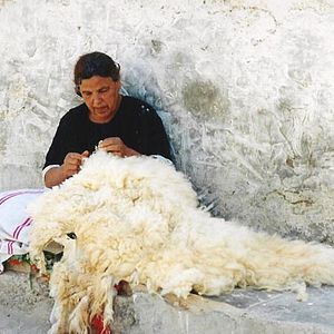 Foto Néjib Belkadhi