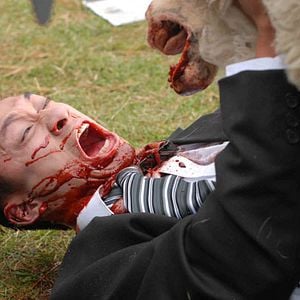 Foto Ovejas asesinas