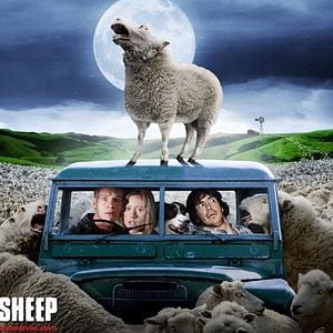 Foto Ovejas asesinas