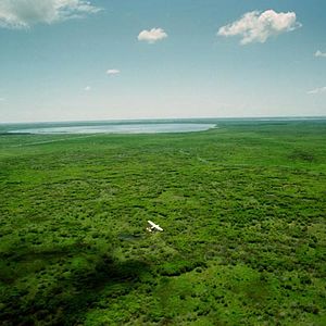 Foto Greg MacGillivray