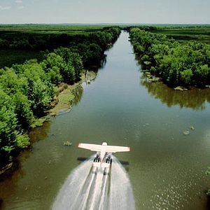 Foto Greg MacGillivray