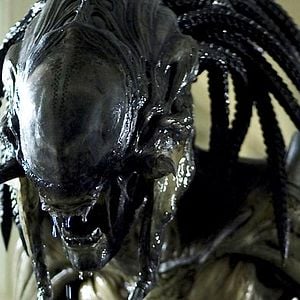 Foto Alien vs Predator 2