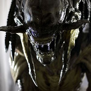 Foto Alien vs Predator 2