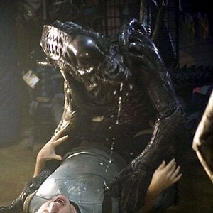 Foto Alien vs Predator 2