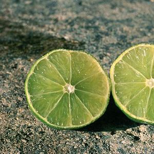 Foto Jean-Paul Fargier