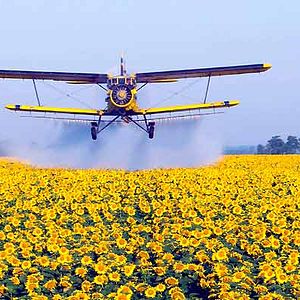 Foto Nikolaus Geyrhalter