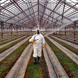 Foto Nikolaus Geyrhalter