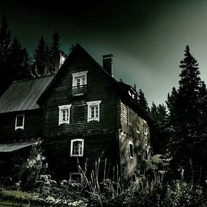 Foto Los abandonados