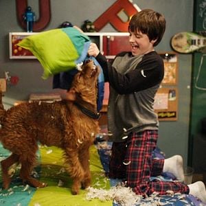 Foto Perro al rescate