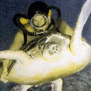 Foto Jacques-Yves Cousteau