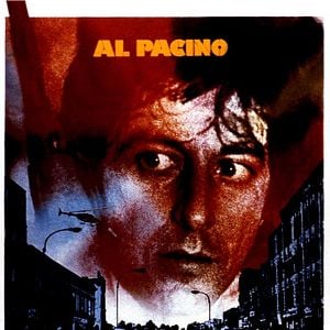 Foto Tarde de perros