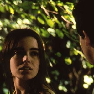 Foto Los juncos salvajes