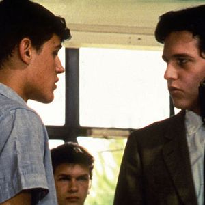 Foto Los juncos salvajes