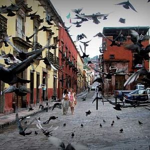 Foto Los diez locos mandamientos