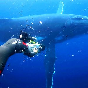 Foto Rob Stewart (II)