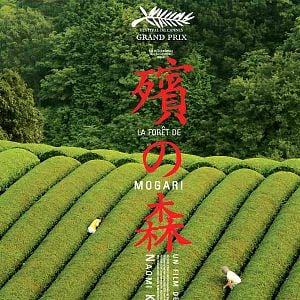 Foto El bosque del luto