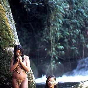 Foto La selva esmeralda