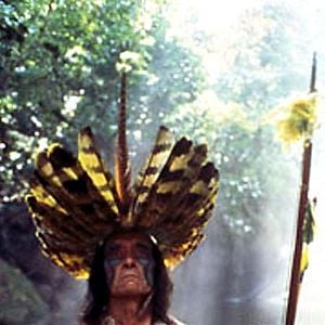 Foto La selva esmeralda