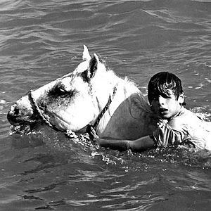 Foto Albert Lamorisse