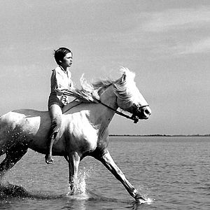 Foto Albert Lamorisse