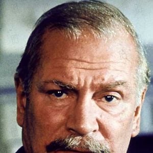 Foto Un puente lejano