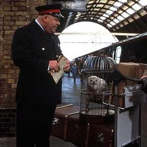 Foto Harry Potter y la Piedra Filosofal