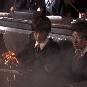 Foto Harry Potter y la Piedra Filosofal