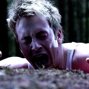 Foto Cabeza de muerte (Fungus Mortalitas)