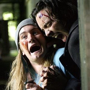 Foto Cabeza de muerte (Fungus Mortalitas)