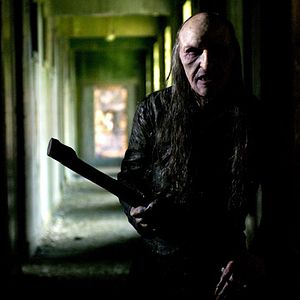 Foto Cabeza de muerte (Fungus Mortalitas)