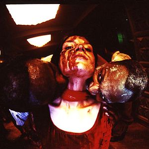 Foto Guardianes del día