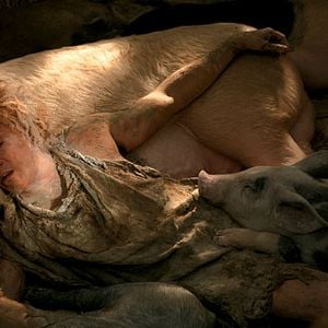 Foto Su majestad Minor