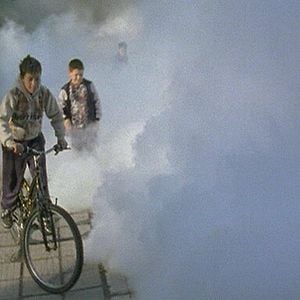 Foto The Mosquito problem and other stories