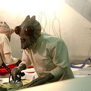 Foto Avant Pétalos Grillados