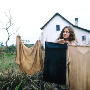 Foto A Ostra e o Vento