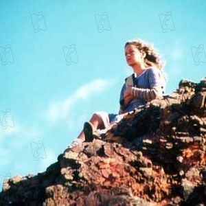 Foto Walter Lima Jr.