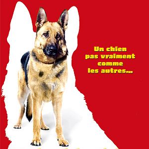 Foto Las nuevas aventuras de Rin-Tin-Tin